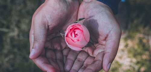 unsplash.com / Diego PH