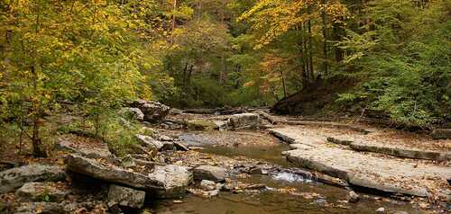 unsplash.com / Corbin Mathias